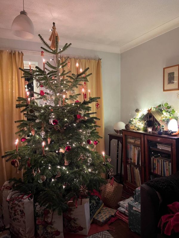 buy christmas tree